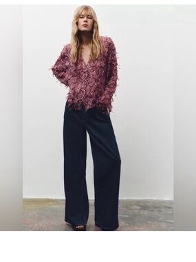 Zara semi sheer top
